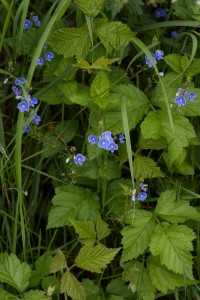 Fot. Arkadiusz Listkiewicz